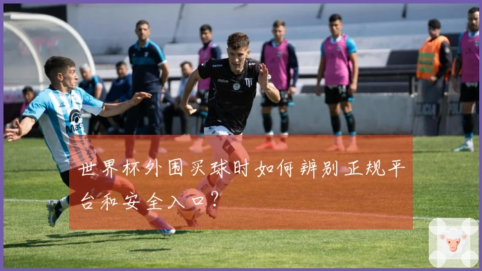 世界杯外围买球时如何辨别正规平台和安全入口?